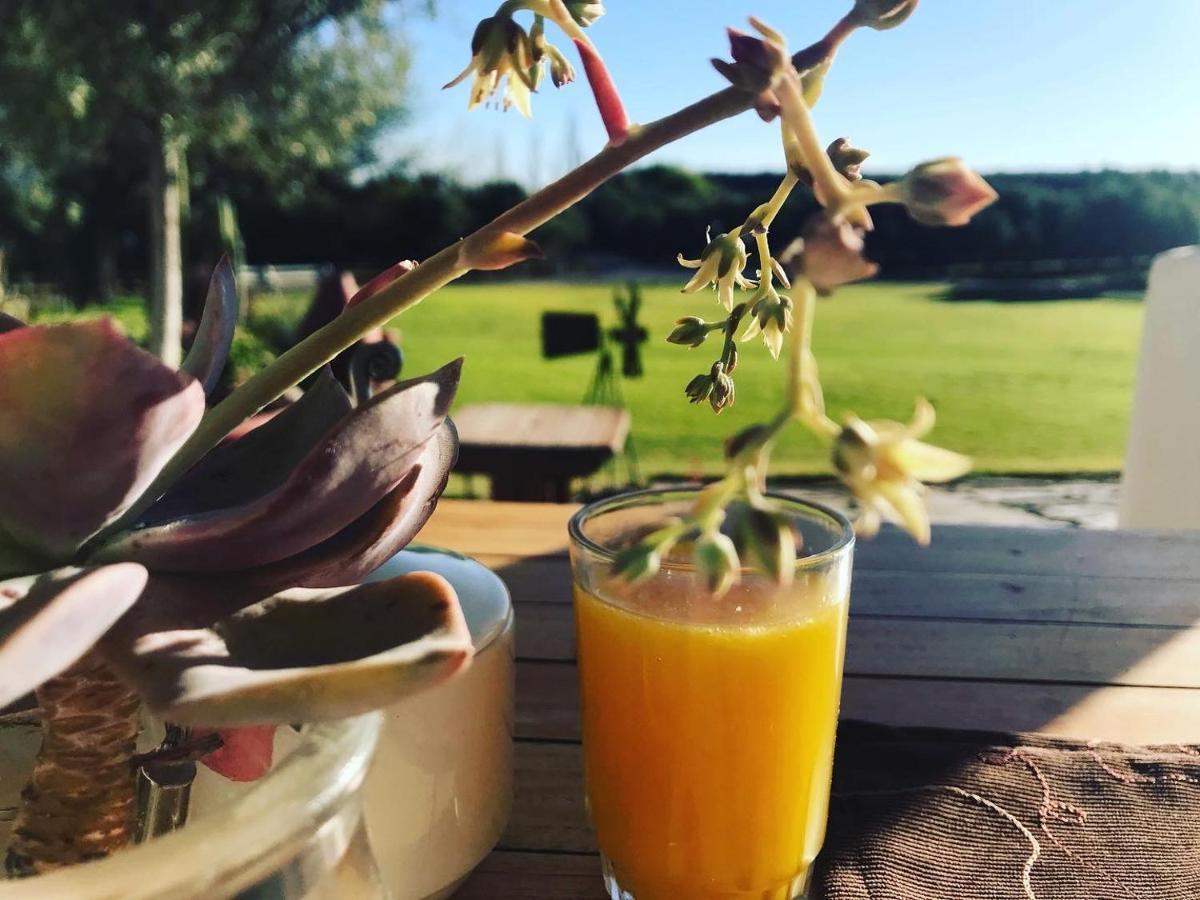 Olive Grove Guest Farm Villa Beaufort West Exteriör bild