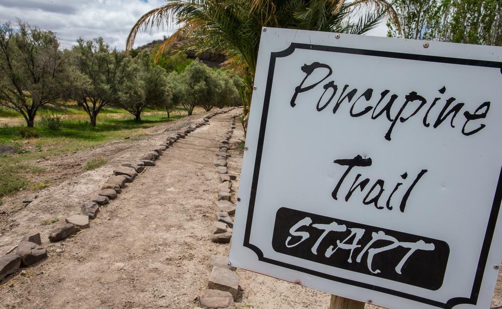 Olive Grove Guest Farm Villa Beaufort West Exteriör bild